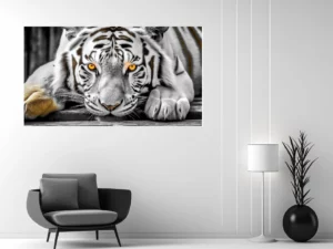 sama-tableau-photo-tigre-blanc-samatableau-pvc-02